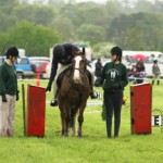 Wimpole06-11