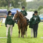 Wimpole06-12