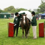 Wimpole06-13