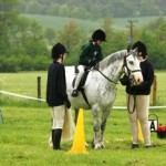 Wimpole06-16