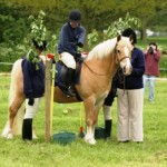 Wimpole06-4