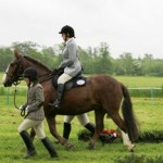 Wimpole06-6