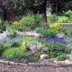 flowerbed