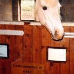 glen