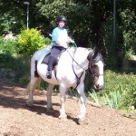 josie1web