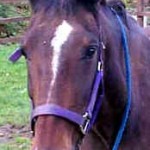 thomas-head-cropped