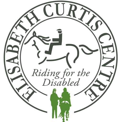 https://www.elisabethcurtiscentre.co.uk/wp-content/uploads/2022/07/cropped-elisabeth-curtis-logo-grey-and-colour-updated.png